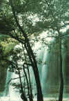 waterfalls.jpg (301679 bytes)